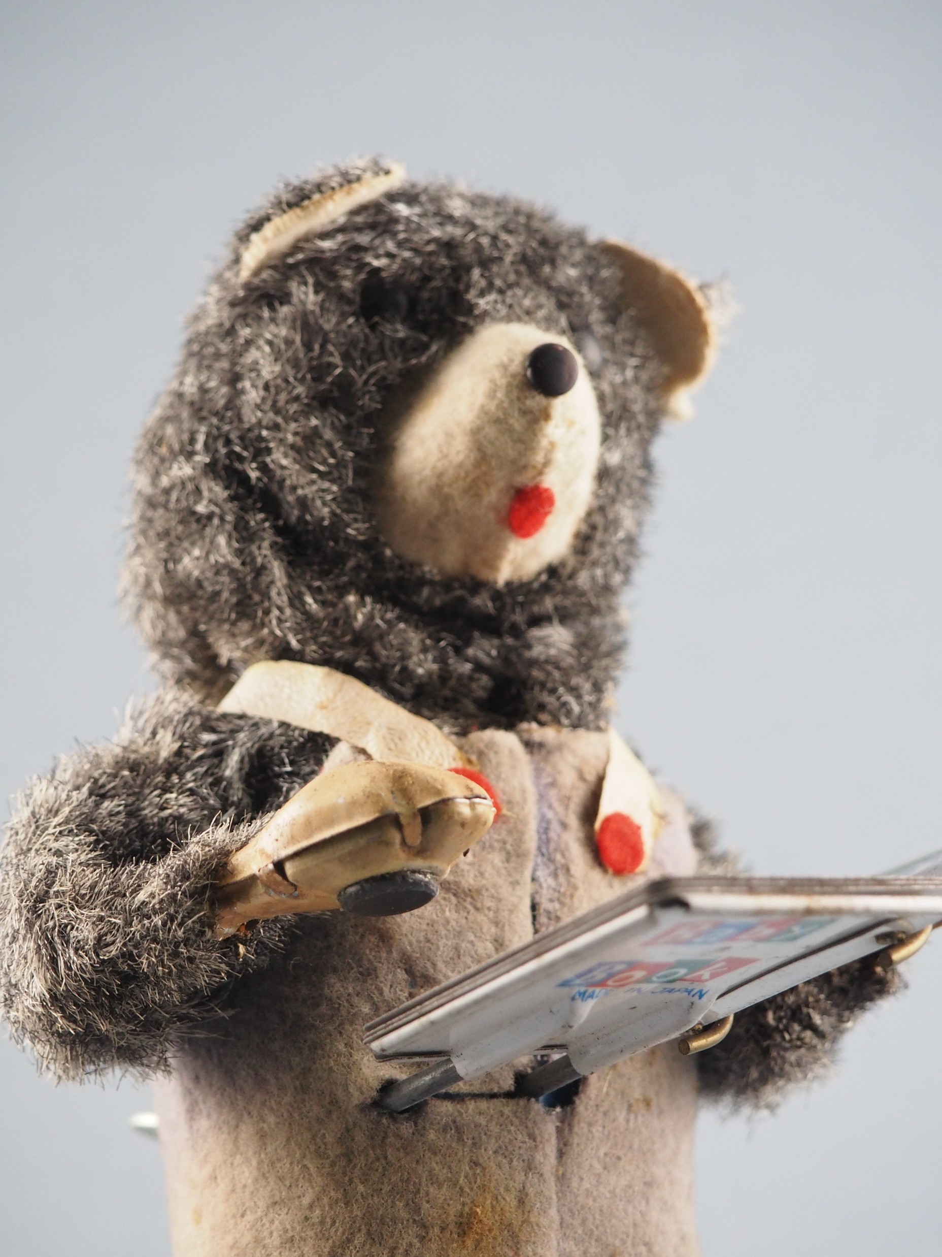 Reading Bear CUBY mechanism